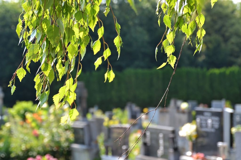 Las Vegas Wrongful Death Lawyer Las Vegas Wrongful Death Lawyer